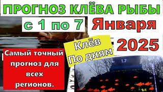 Прогноз клева рыбы на неделю с 1 по 7 Января 2025 Лунный Календарь рыбака январь 2025