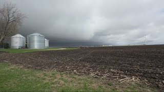 Recent rains not enough to help crops farmer says