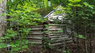 How to Build an Off Grid Log Cabin: For FREE!