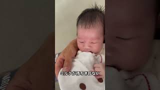 ミルクが待ちきれない新生児の可愛いすぎる待ち方 #あかちゃん #子育て #新生児 #かわいい #可愛い #赤ちゃん #baby #cute