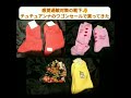 感覚過敏対策の靴下🧦をチュチュアンナのワゴンセールで激安で買ってきました。 ad発達 adhd asd 発達障害 発達障害 感覚過敏