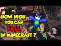 How HIGH Can You Fall in Minecraft? #Shorts