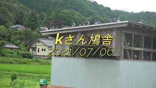 kさん鳩舎　2021年7月6日