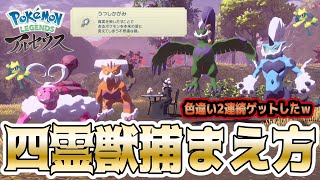 【レジェンズアルセウス】四霊獣とうつしかがみの入手方法を実践解説！サブ任務94〝ヒスイの化身〟攻略！【トルネロス ボルトロス ランドロス ラブトロス 色違いリオル】