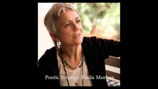 Paula Meehan's Poetry  -  AUDIO PODCAST