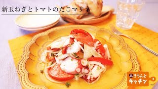 新玉ねぎとトマトのたこマリネ【きちんとキッチンbydaiei】