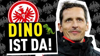 Bestätigt: Dino Toppmöller ist neuer Trainer von Eintracht Frankfurt! | Bundesliga News