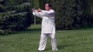 Bo Jiancong Try Force of Yi Quan, training to activate the force obtained in Zhan Zhuang and use it!