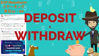 DEPOSIT\u0026WITHDRAW（メタマスクなどで入出金する際の注意点）