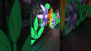 Join us on a tour of Glowfari (Zoo Lights)
