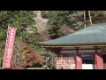 鳳来寺山もみじまつり