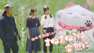 【短編映画/本編】まねきねこは突然に/田中果樹園ショートドラマ2023【田中果樹園】