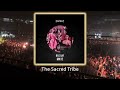 BillyJay - Maye (Original Mix) - #afrohouse #thesacredtribe