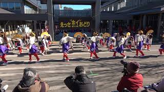 ど～んと Coco de 踊らん会1－えっさホイおどり2024