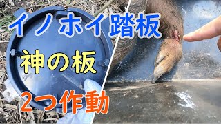 20210224　『有害鳥獣駆除』　2/19に仕掛けたイノシシくくり罠　【イノホイ】『神の板』　早速捕獲になりました