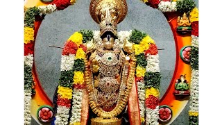 மதுரை ஸ்ரீநிவாஸ பெருமாள் சூரிய பிரபை வாகனம் திவ்ய சேவை