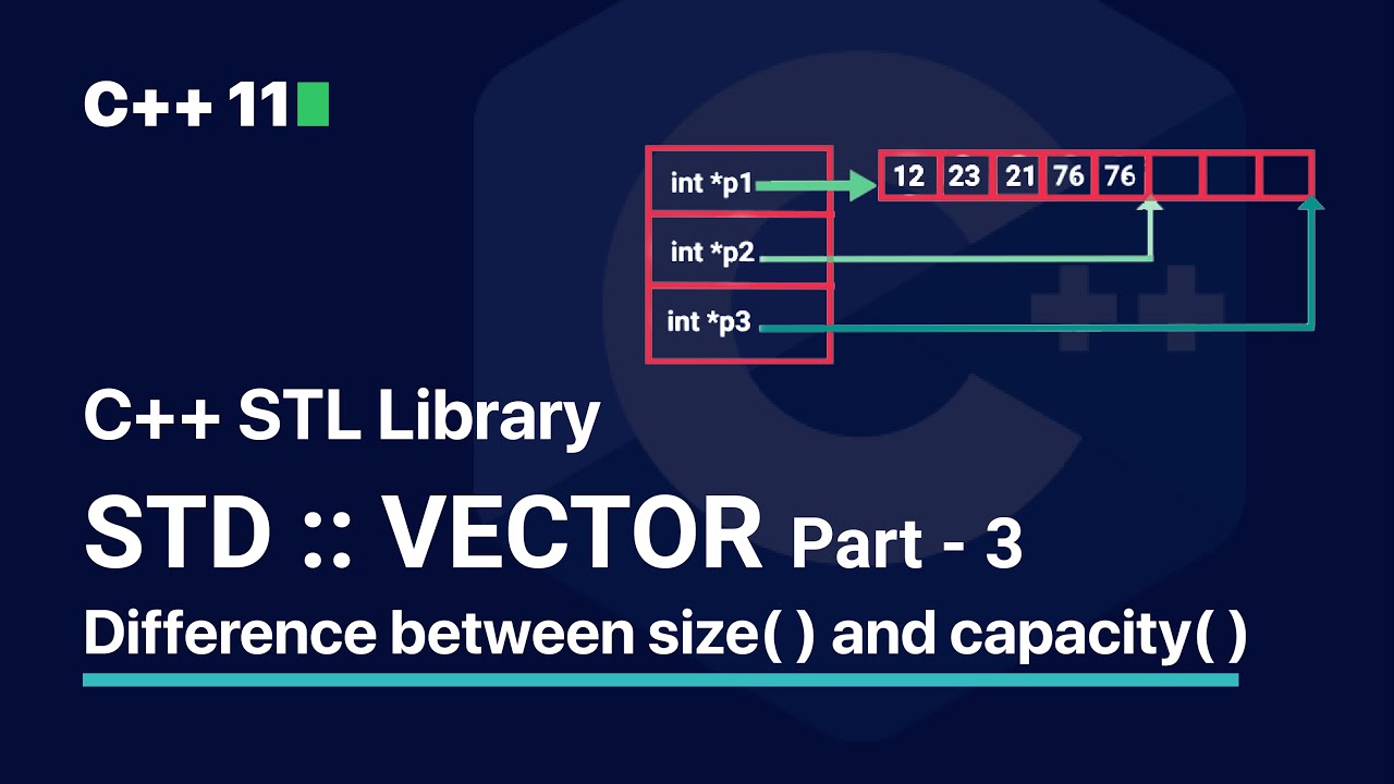 Std Vector Set Capacity