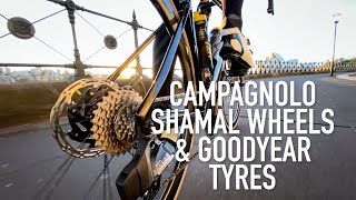 Campagnolo Shamal Disc wheels \u0026 Goodyear Eagle F1 tyres -cycling product showcase, slow TV style