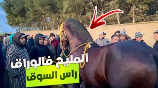 🚨سوق الخميسات اليوم حماسي منافسة بين الحرايفية فالمليح 🔥جدع راس سوق بالوراق تعطات فيه 7 ملاين و صرف✅