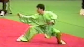 【Wushu】1995   Tongbeiquan