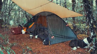 CAMPING in Rain Forest with Tarp - Rain ASMR