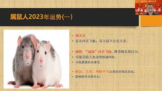 2023年 肖鼠  犯太岁 刑太岁  鼠 运程 Mouse in the year of Rabbit 2023