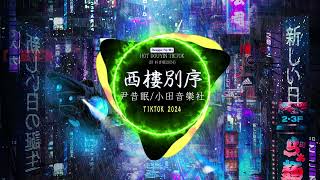 尹昔眠/小田音乐社 - 西楼别序 (DJ名龙版)「我提筆不為深處 目送你背影依舊」