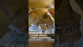 Real human skull found by customer while thrift shopping