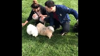 Jeffree Star, Manny And Laura Fight Over His Dogs| SnapChat Story