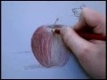 Colored Pencil Drawing of an Apple Part 1