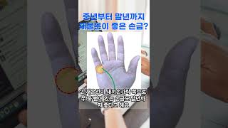 [손금] 중년부터 말년까지 부자되는 손금?