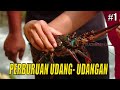 JEJAK PETUALANG | PERBURUAN UDANG- UDANGAN (12/09/21) Part 1