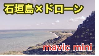 2020年1月  石垣島癒しのドローン旅　ishigaki drone mavic mini