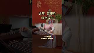 【一周一首古筝曲】古筝演绎电视剧《国色芳华》片尾曲《芳华吟》 #guzheng #音樂 #guzhengcover #guzhengmusic #国色芳华