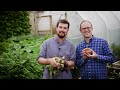 self sufficient garden how he grew 1 300lbs 580kg of food huw richards