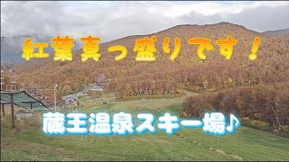 紅葉が見頃を迎えました！観光地の山形蔵王温泉スキー場は紅葉が真っ盛りです♪