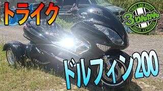 【ビクスクトライク200cc】ドルフィン200ブラックの紹介です。