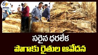 ధరలేక పొగాకు రైతుల ఆవేదన |  Tobacco Farmers Suffering Due to Lack of Price For Crop | Ongole