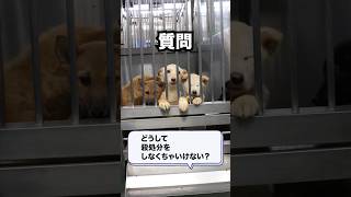 Q.どうして犬を殺処分する必要がある？