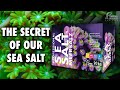 The secret of our salt - THE FAUNA MARIN SEA SALT