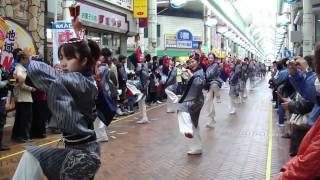 Yosakoi Tokaido 2010 - Numazu Japan