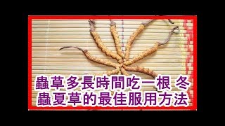 蟲草多長時間吃一根 冬蟲夏草的最佳服用方法