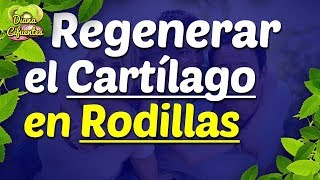 Como Regenerar El Cartilago De Las Rodillas Con Grenetina Hidrolizada: Regeneracion Del Cartilago