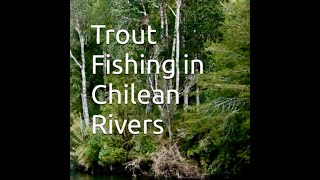 Trout Fishing in Chilean Rivers -1 (Preface, Biography, Foreword, Chapter One) #chile