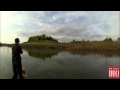 Fishing with DUO #11: Snakehead fishing with Realis Crank M65 8A