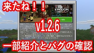 【ひろばのマイクラ統合版（マイクラPE）】来たねv1.2.6　一部紹介とバグの確認