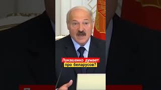 Беларусь при Лукашенко – это социально-ориентированное государство? #беларусь #лукашенко #беларусы