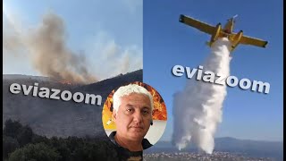 EviaZoom.gr - Χαλκίδα: Υπό έλεγχο η φωτιά στο Βαθροβούνι - «Δώσαμε μάχη για να μην καούν σπίτια...»