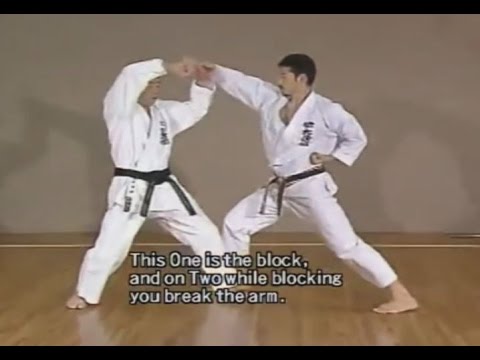 Karate Heian Nidan Kata Bunkai - YouTube