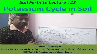 Potassium Cycle in Soil